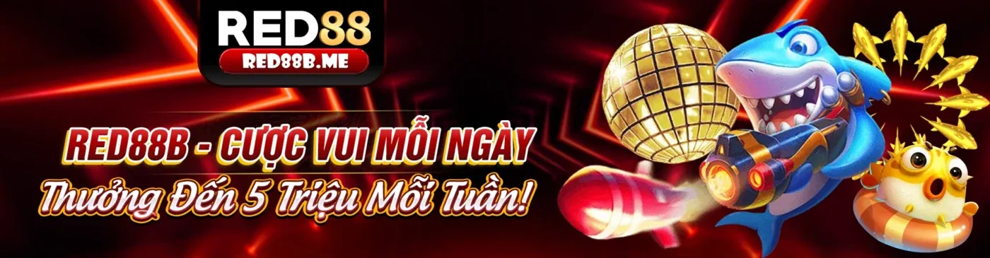 Hình ảnh chính giới thiệu về 88b App, nền tảng cá cược trực tuyến uy tín hàng đầu