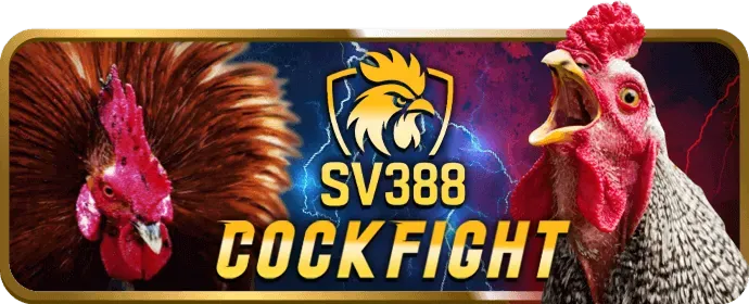 Bắt đầu chơi casino tại 88b App